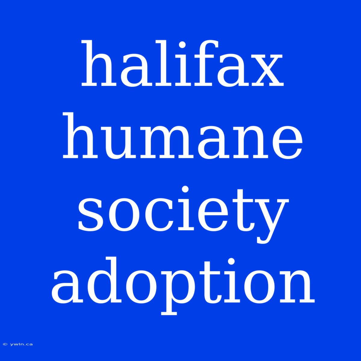 Halifax Humane Society Adoption