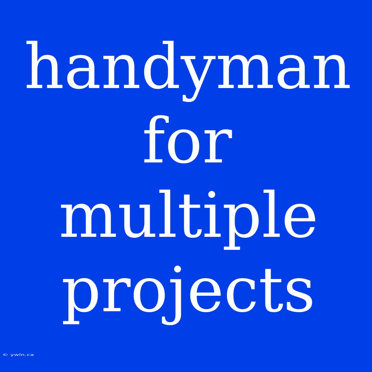 Handyman For Multiple Projects