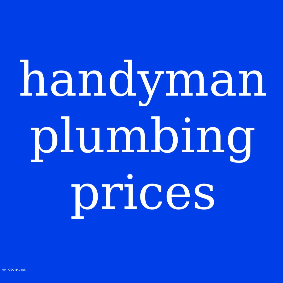 Handyman Plumbing Prices