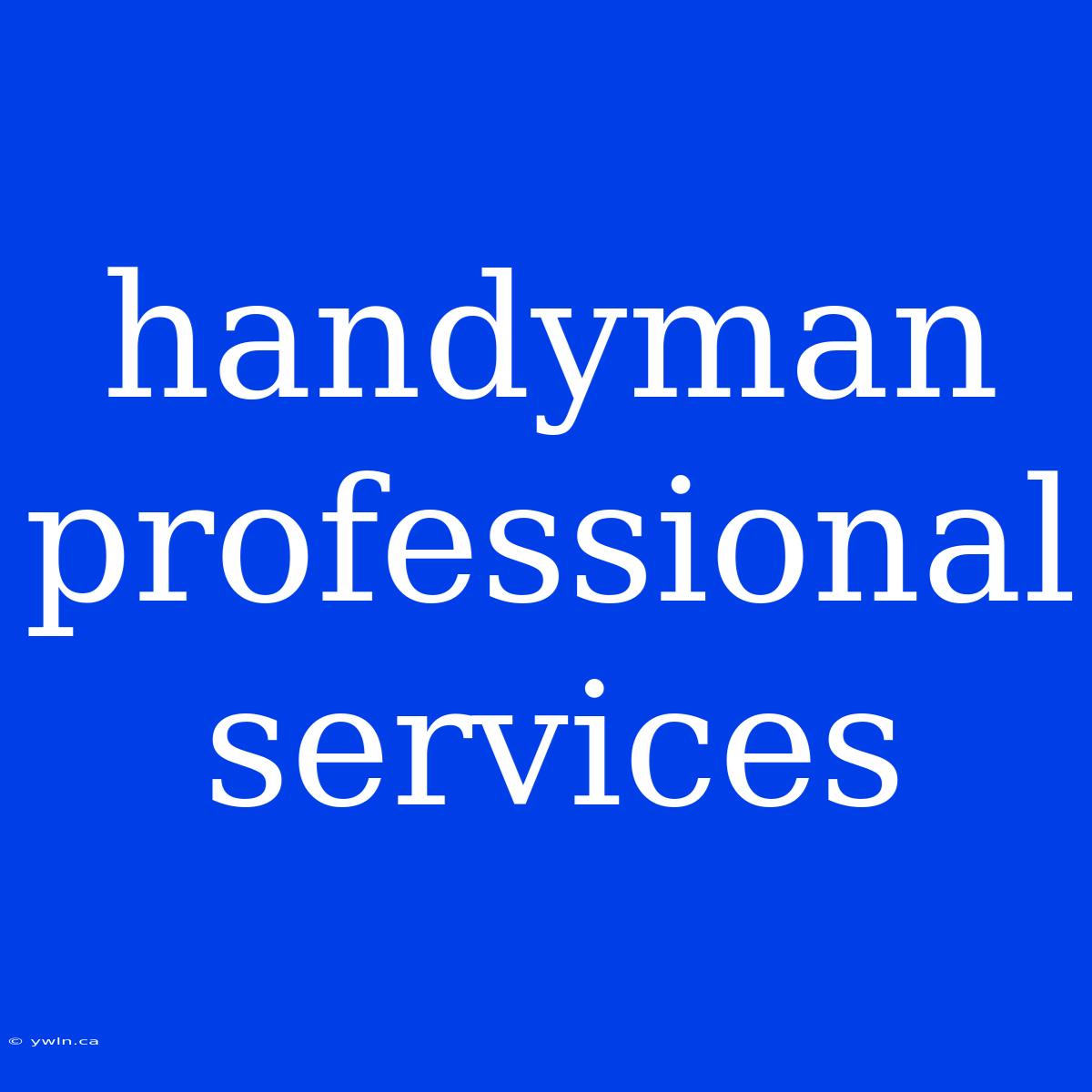 Handyman Professional Services