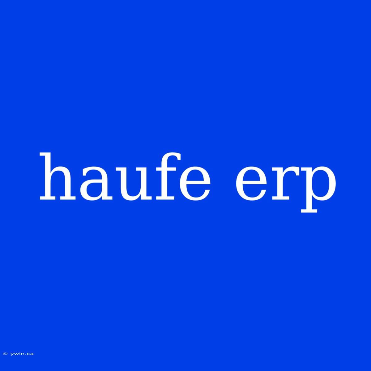 Haufe Erp