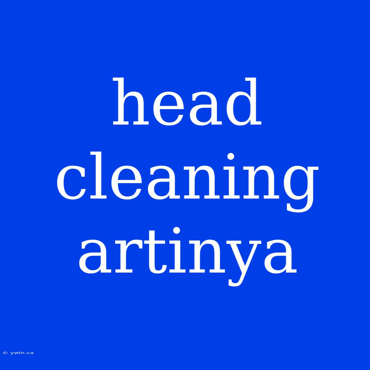 Head Cleaning Artinya