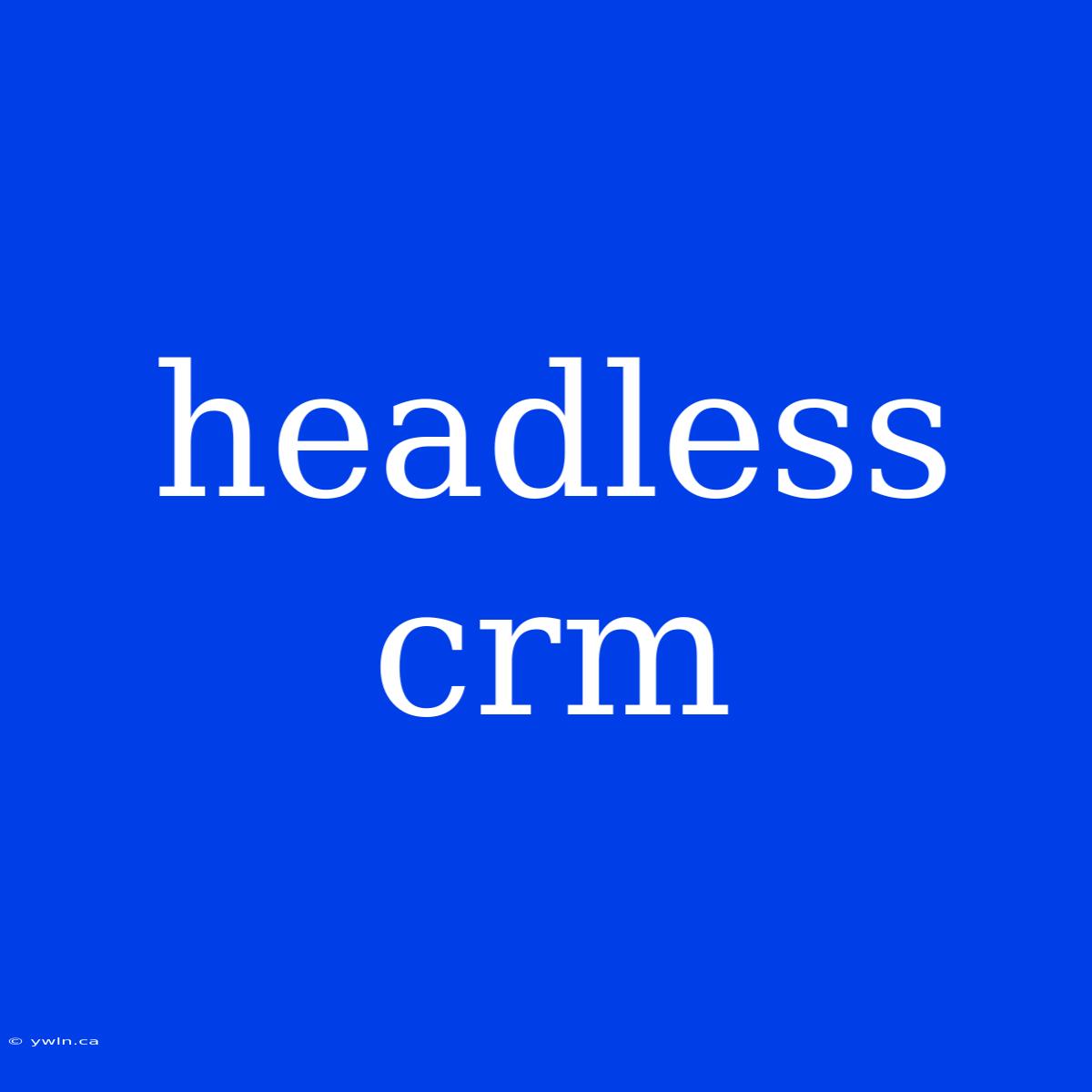 Headless Crm