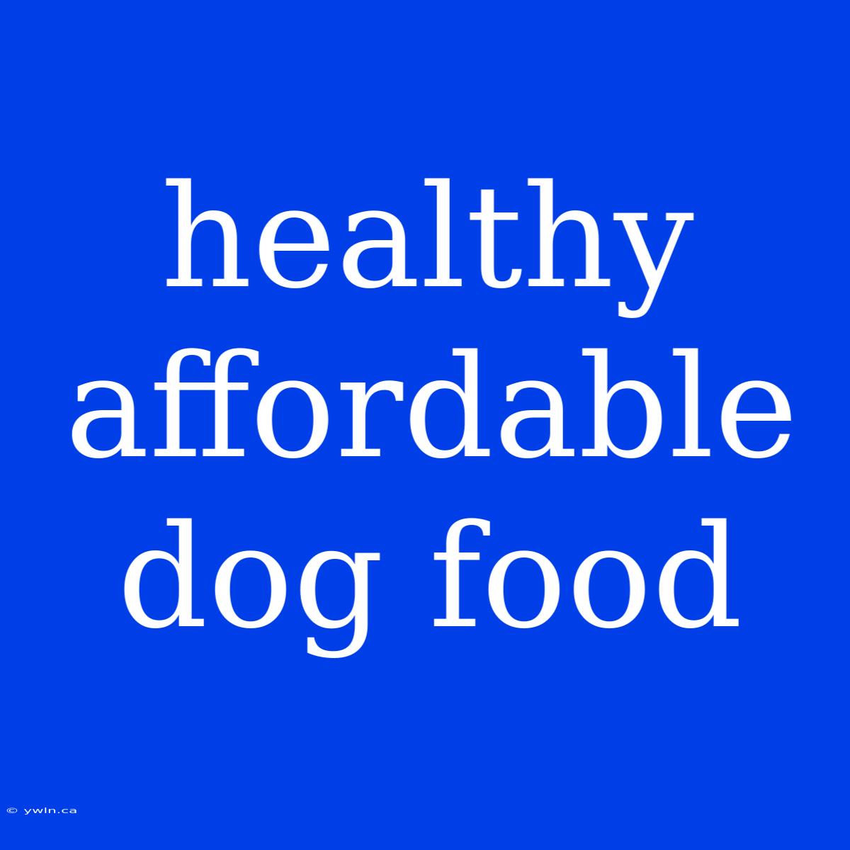 Healthy Affordable Dog Food