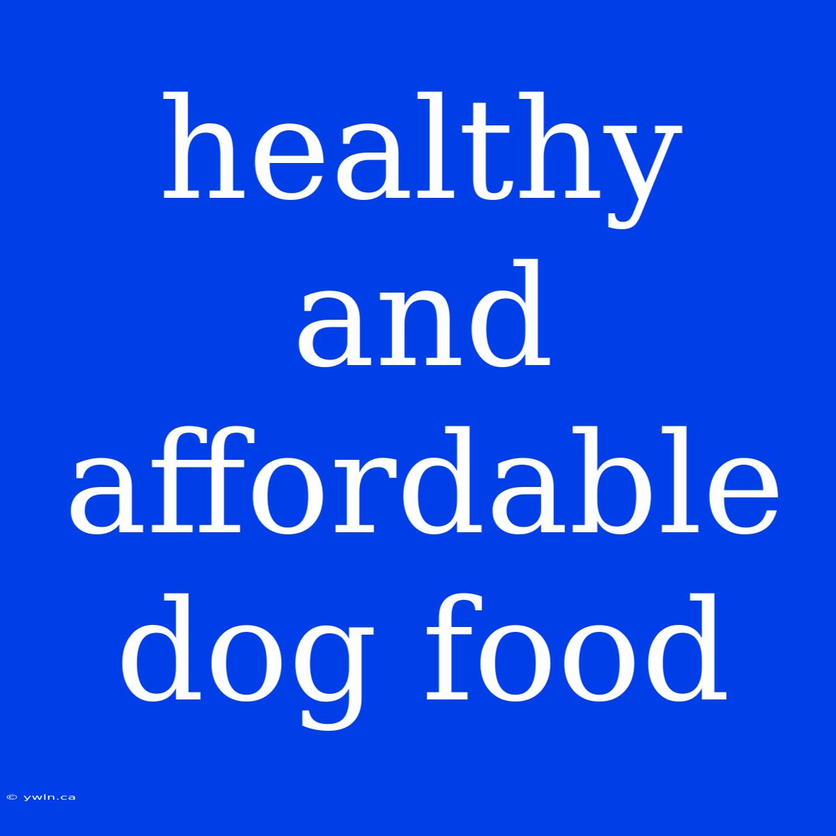 Healthy And Affordable Dog Food