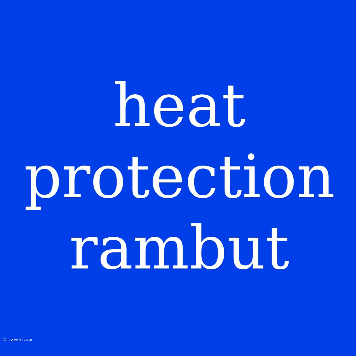 Heat Protection Rambut