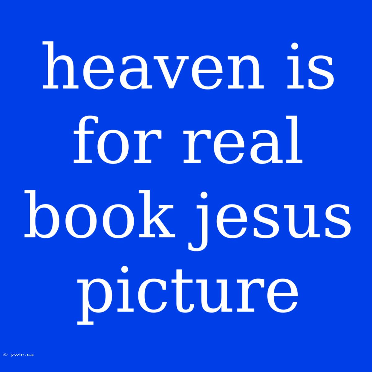 Heaven Is For Real Book Jesus Picture