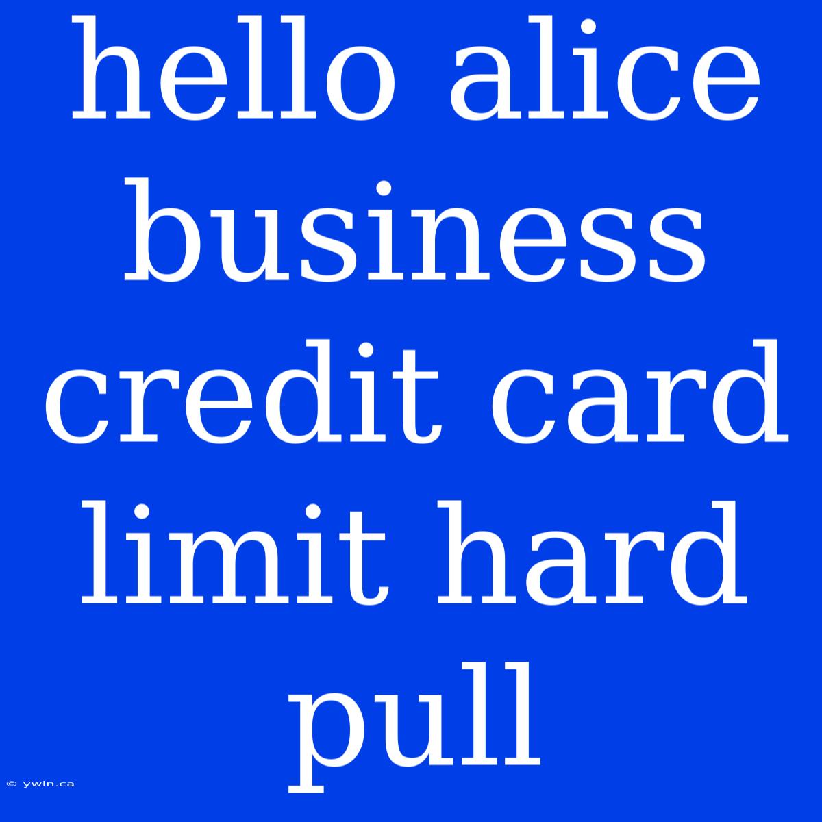 Hello Alice Business Credit Card Limit Hard Pull