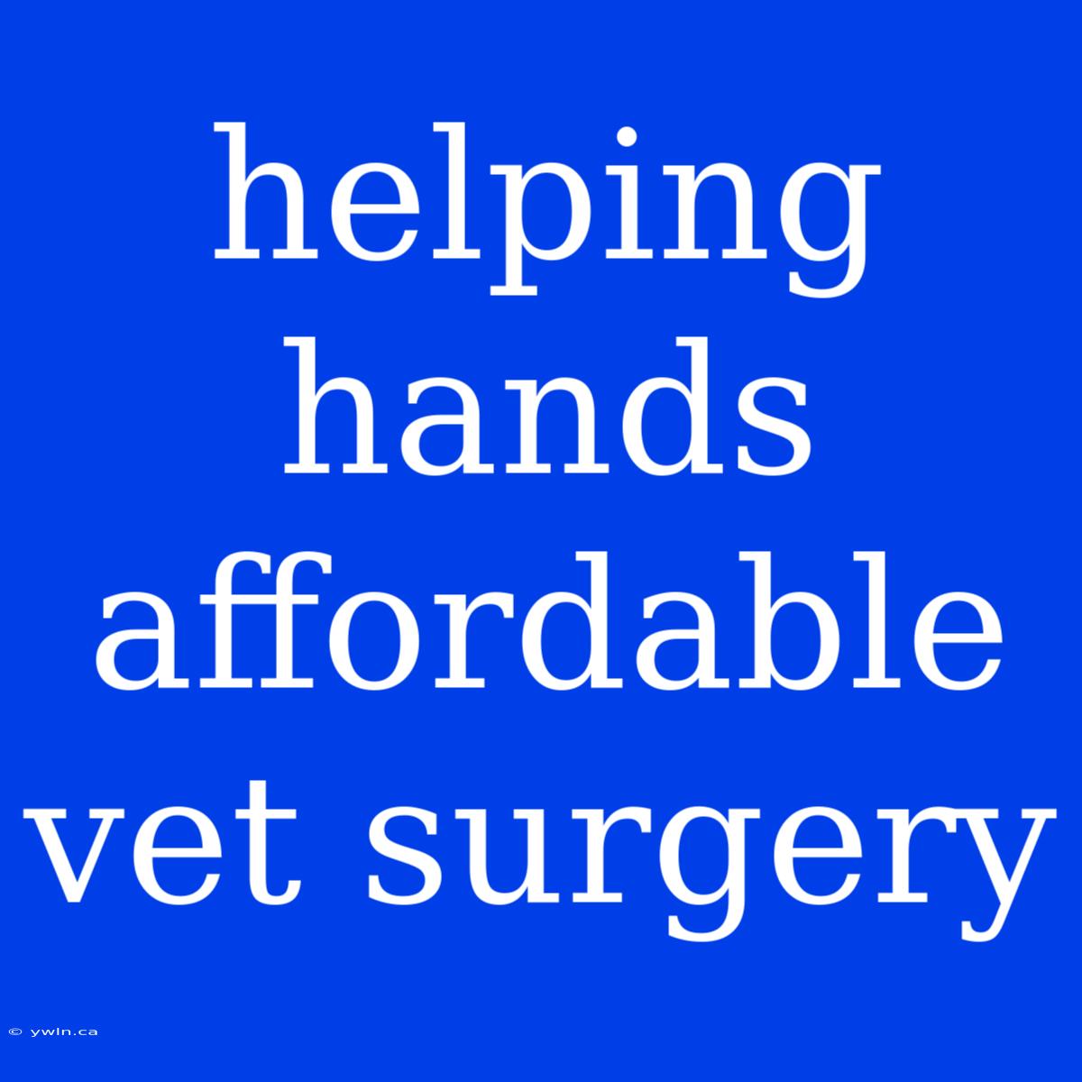 Helping Hands Affordable Vet Surgery