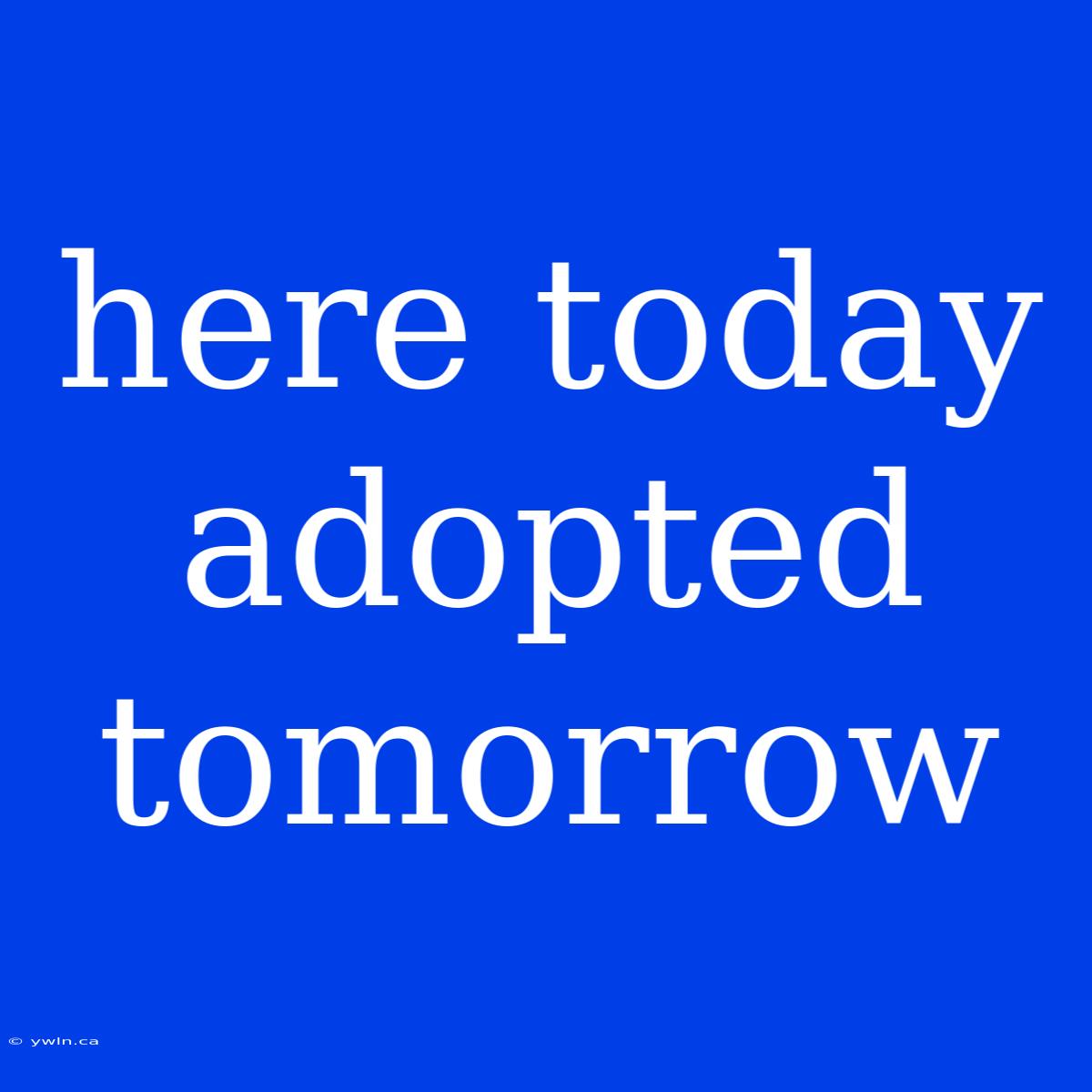 Here Today Adopted Tomorrow