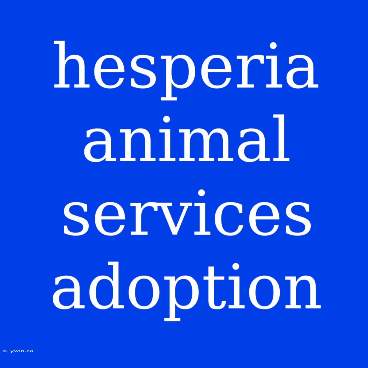 Hesperia Animal Services Adoption