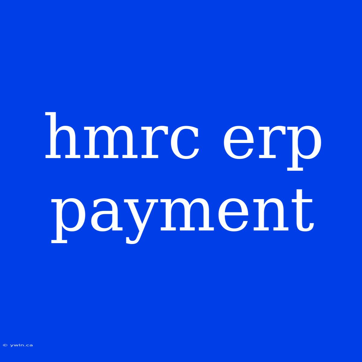 Hmrc Erp Payment