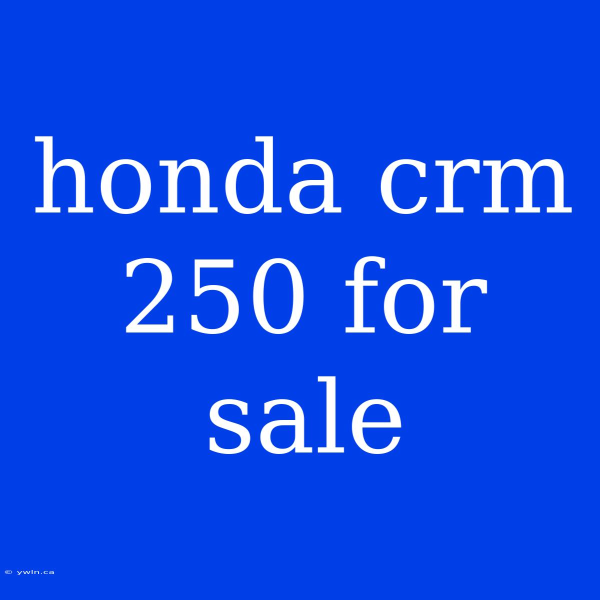 Honda Crm 250 For Sale