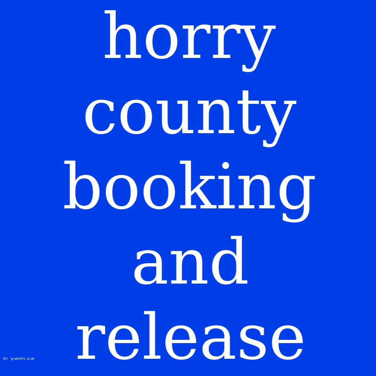 Horry County Booking And Release