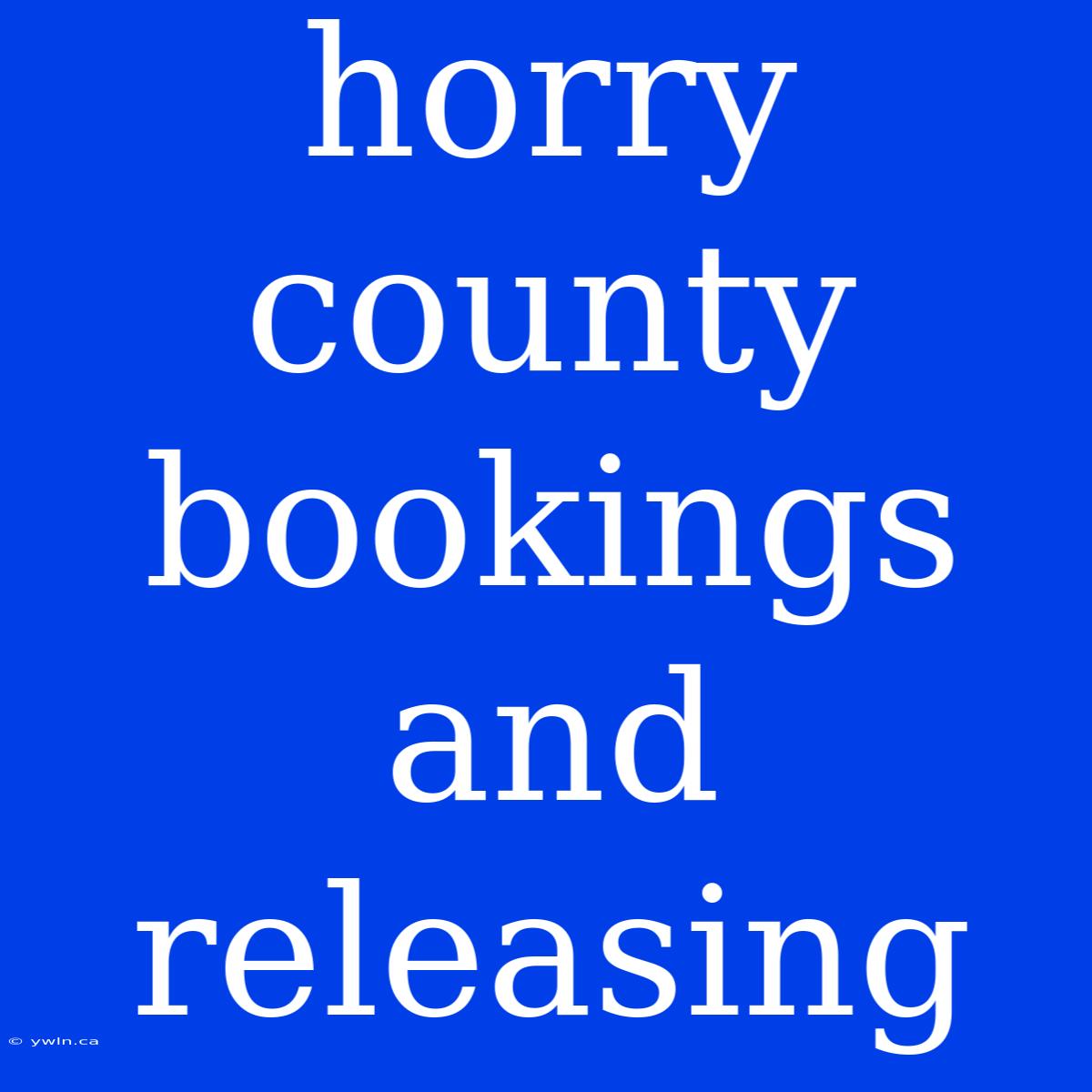 Horry County Bookings And Releasing