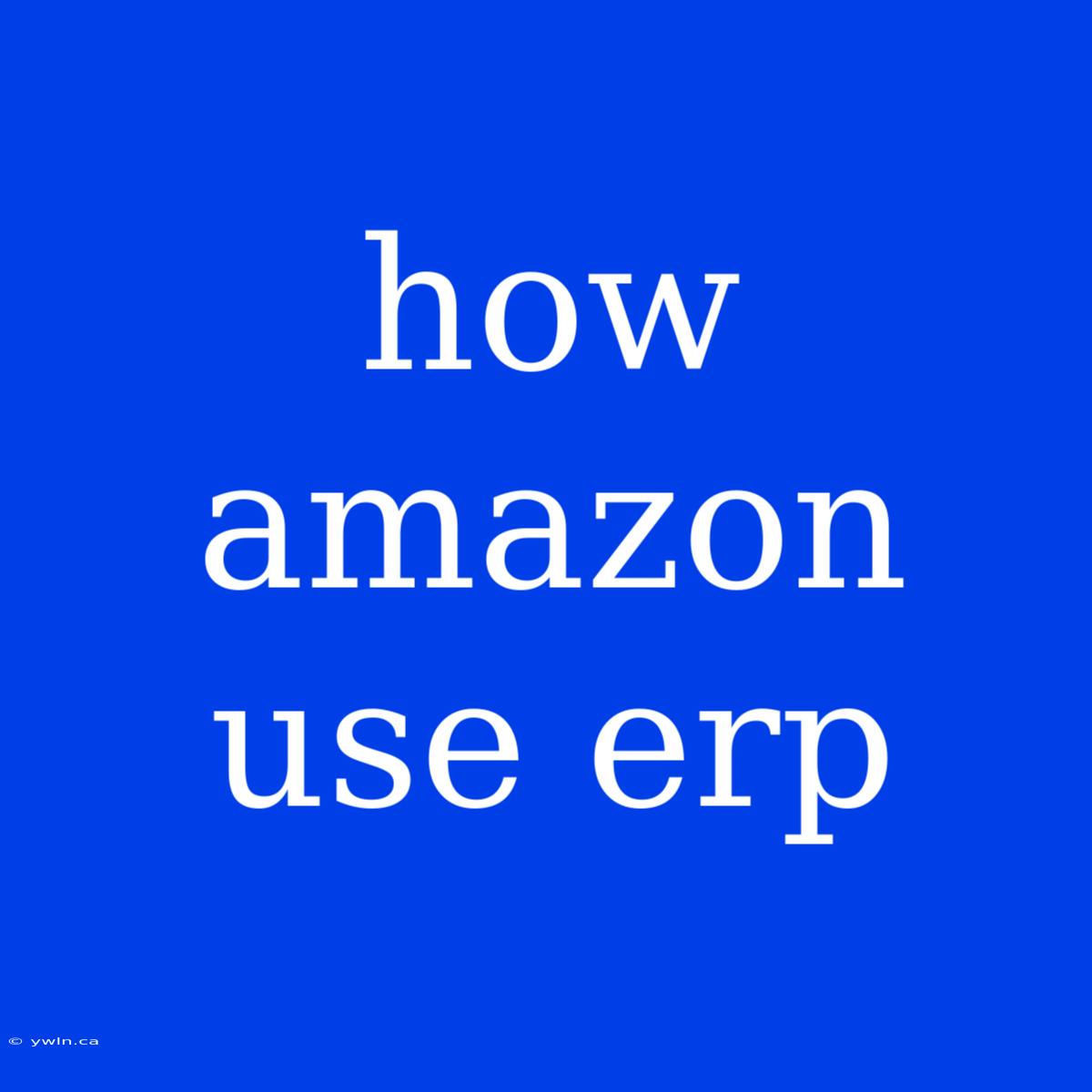 How Amazon Use Erp