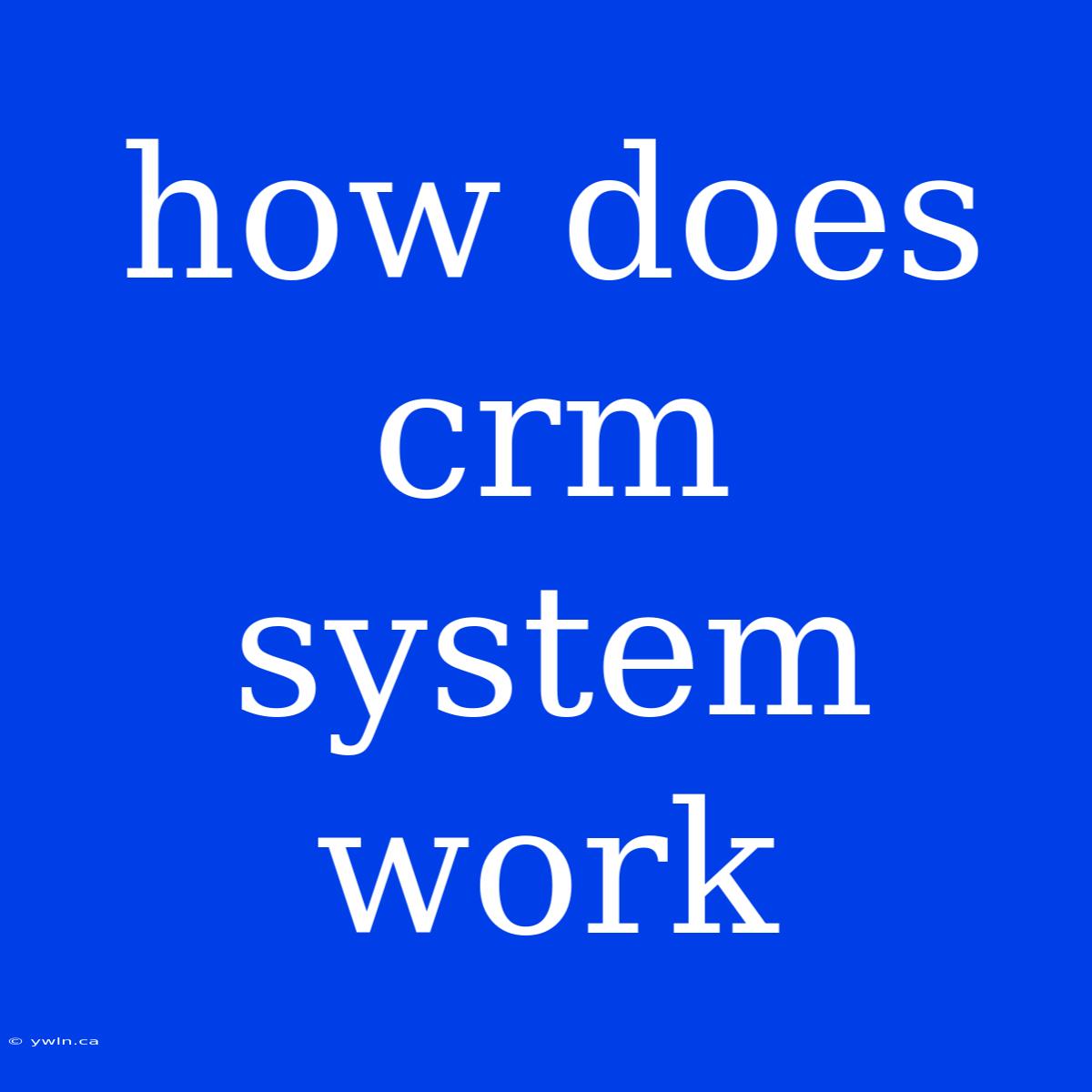 How Does Crm System Work