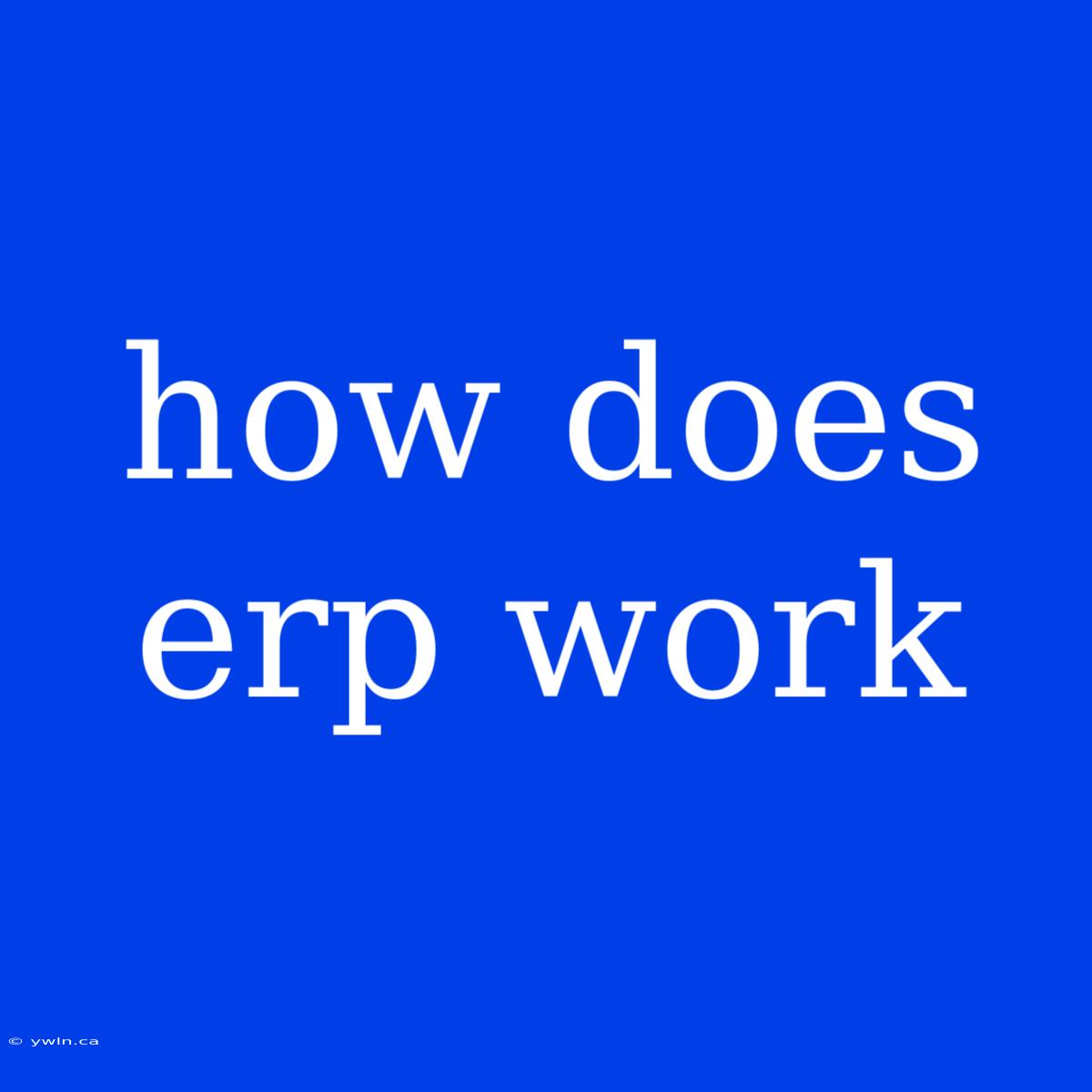 How Does Erp Work