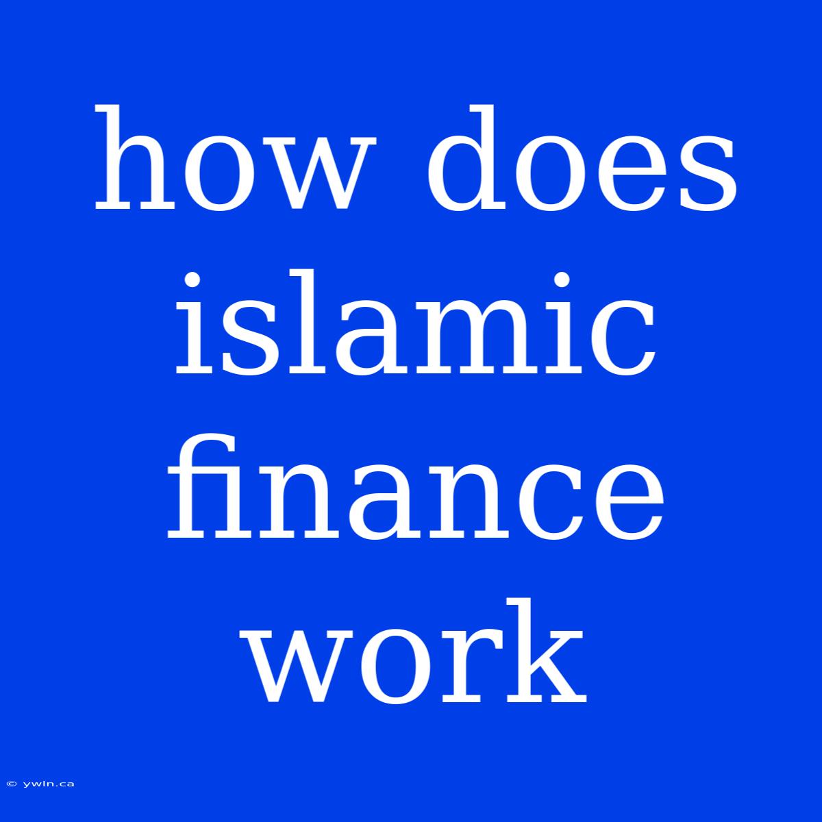 How Does Islamic Finance Work