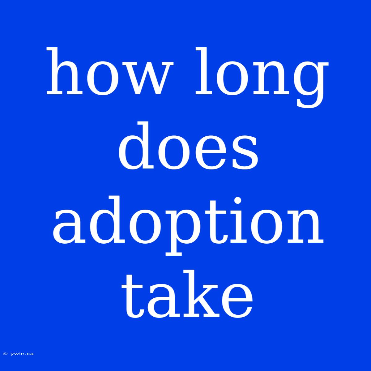 How Long Does Adoption Take