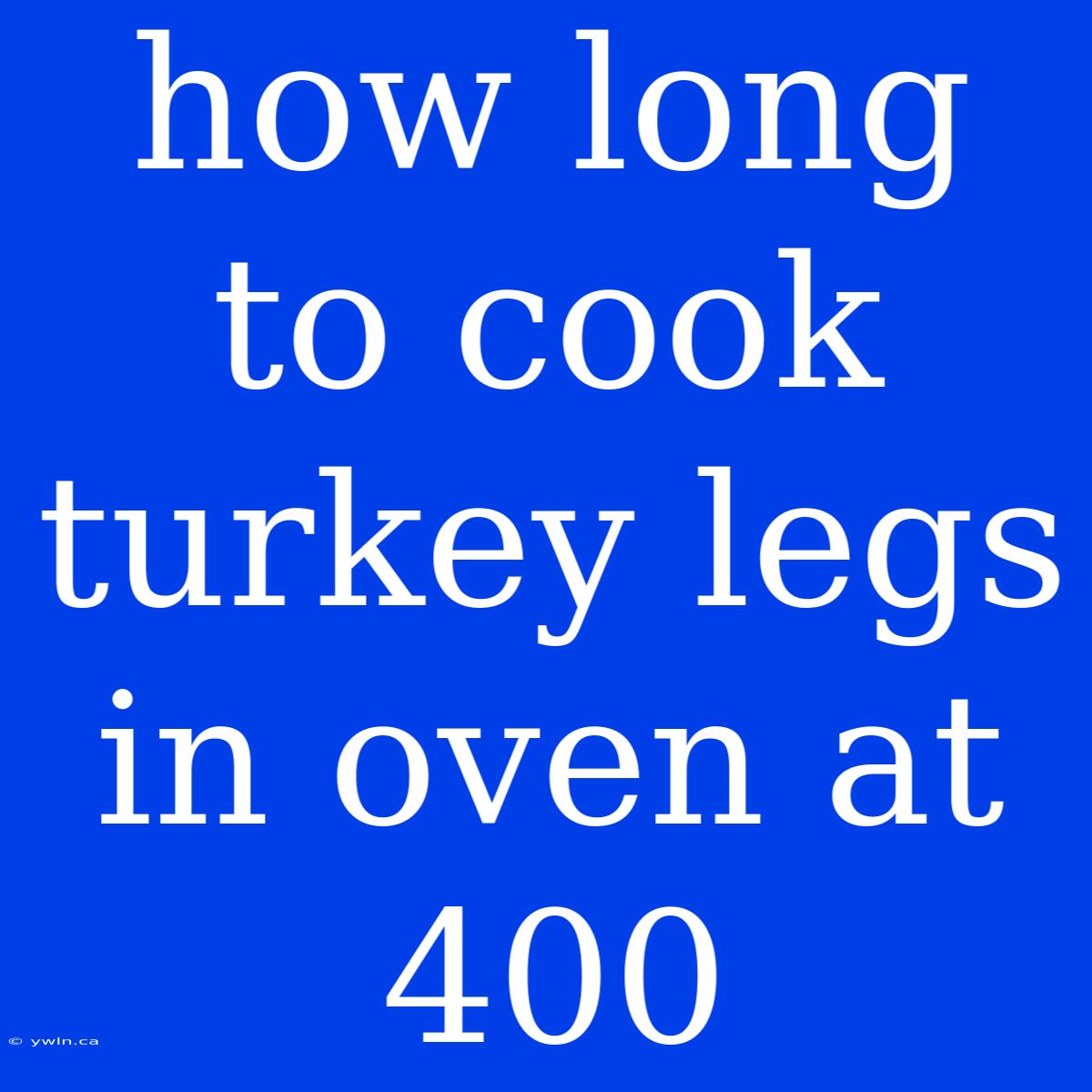 How Long To Cook Turkey Legs In Oven At 400