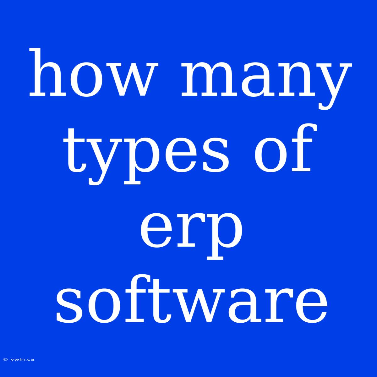 How Many Types Of Erp Software