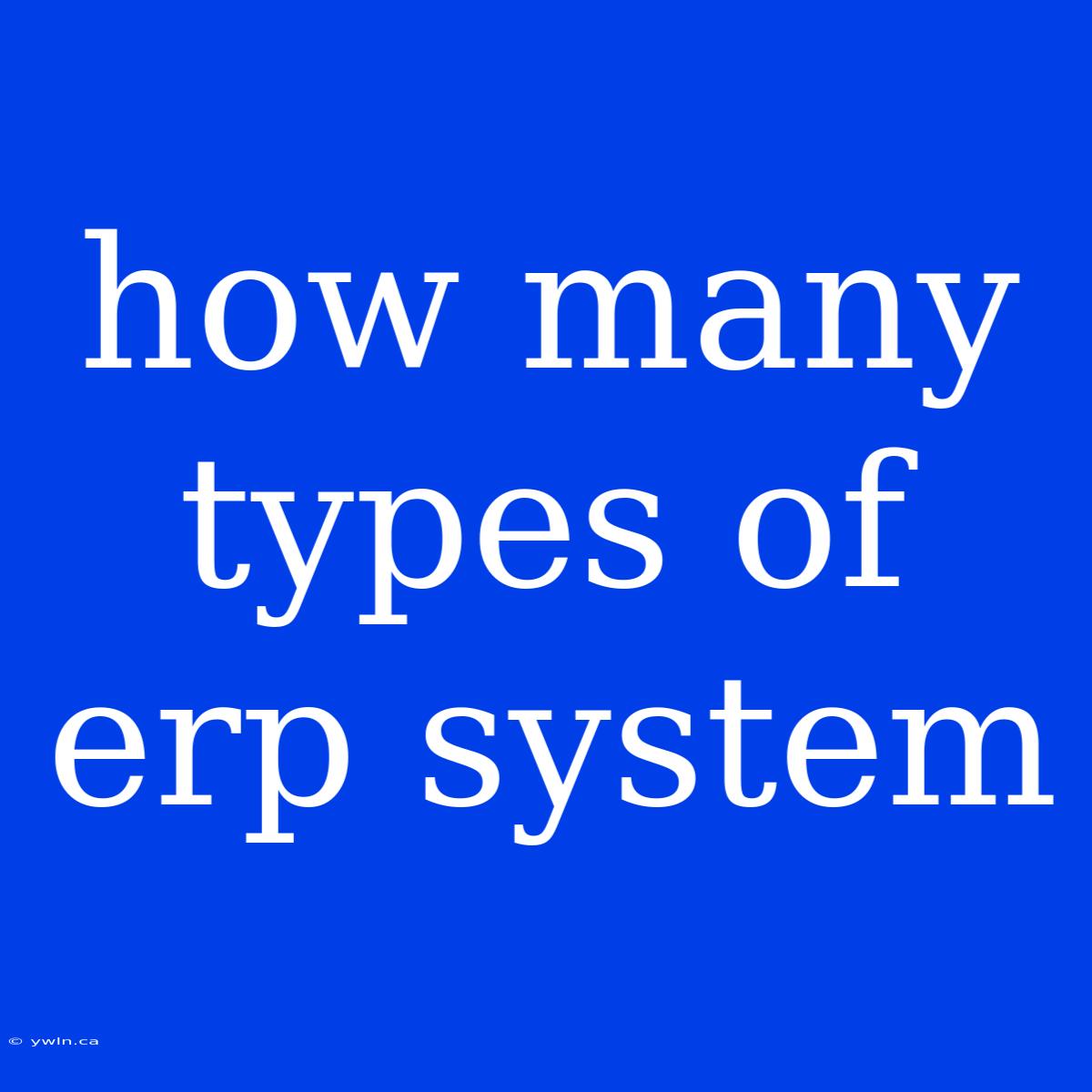 How Many Types Of Erp System