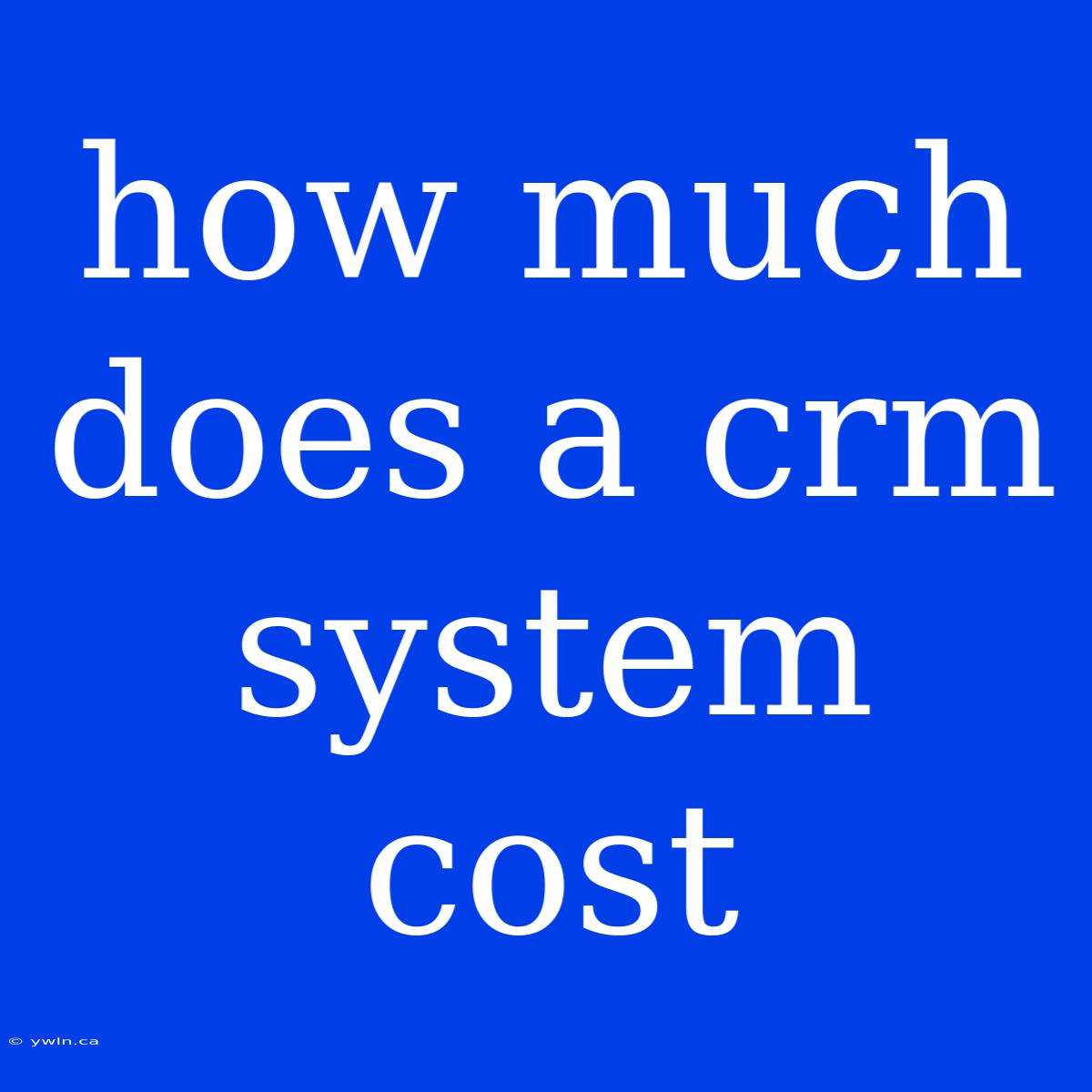 How Much Does A Crm System Cost