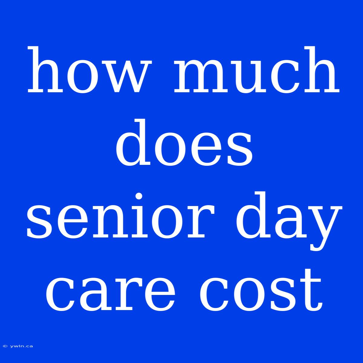 How Much Does Senior Day Care Cost