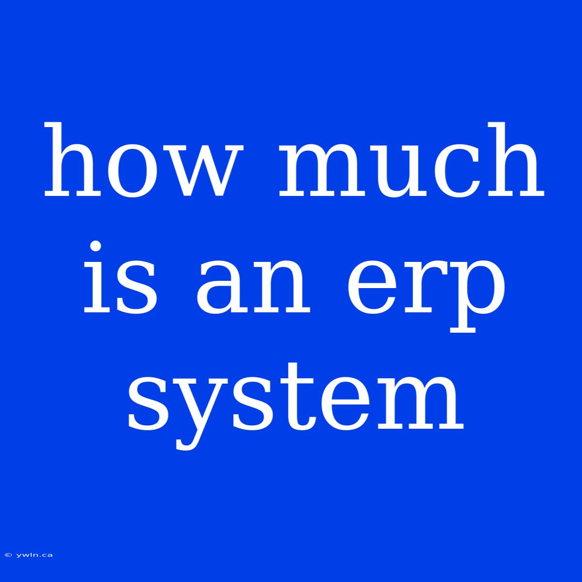 How Much Is An Erp System