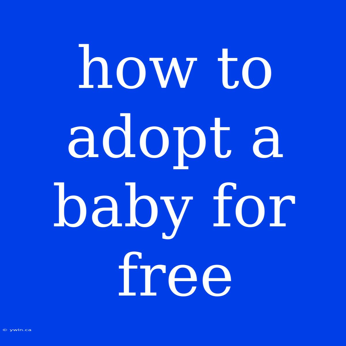 How To Adopt A Baby For Free