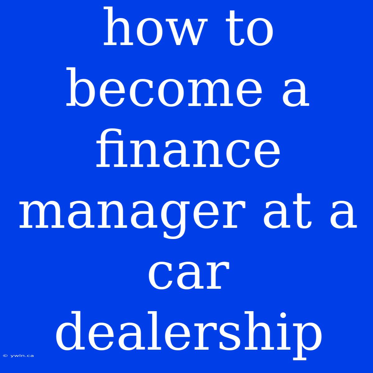 How To Become A Finance Manager At A Car Dealership