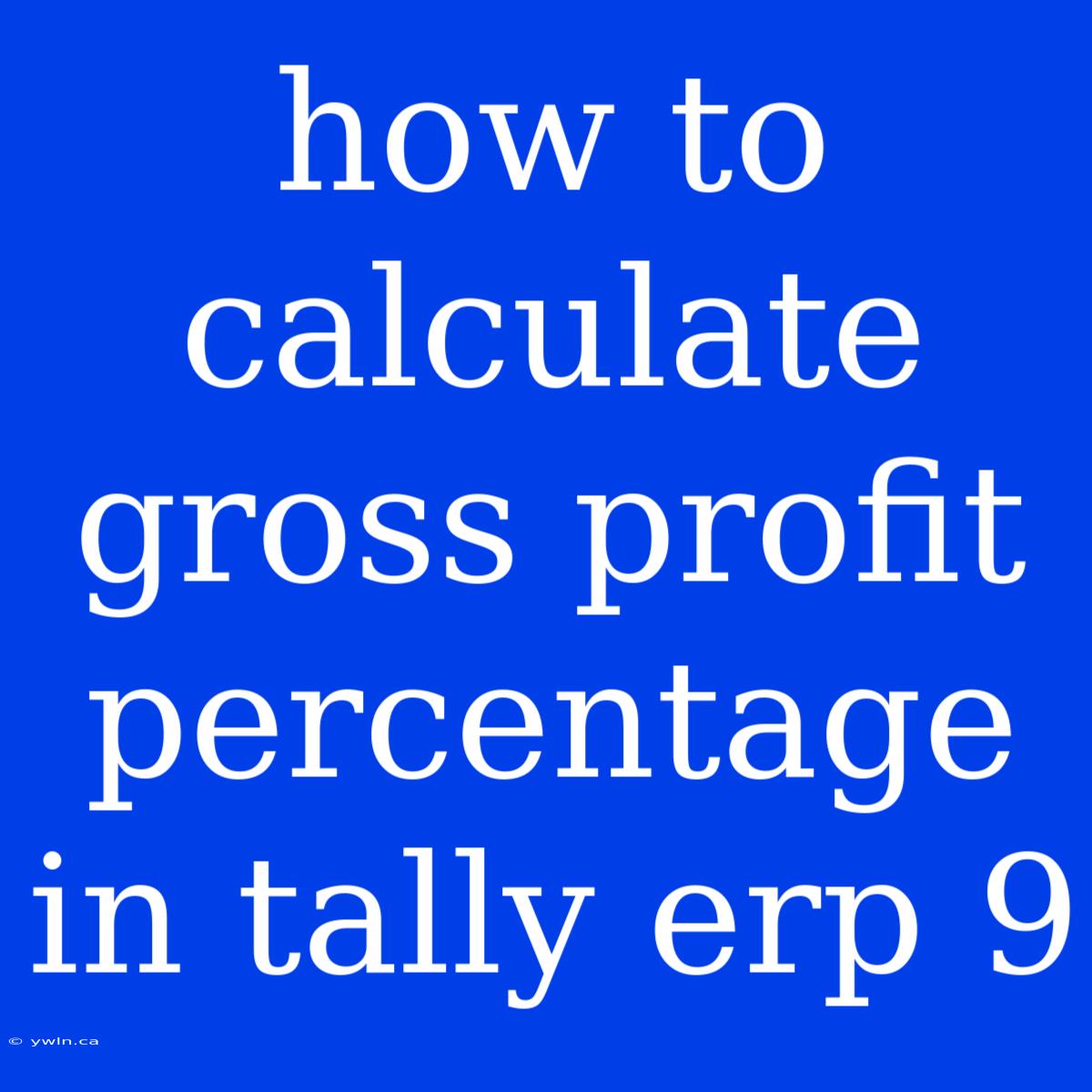 How To Calculate Gross Profit Percentage In Tally Erp 9