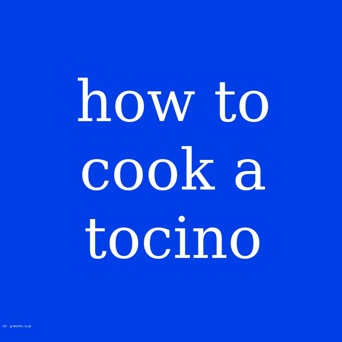 How To Cook A Tocino