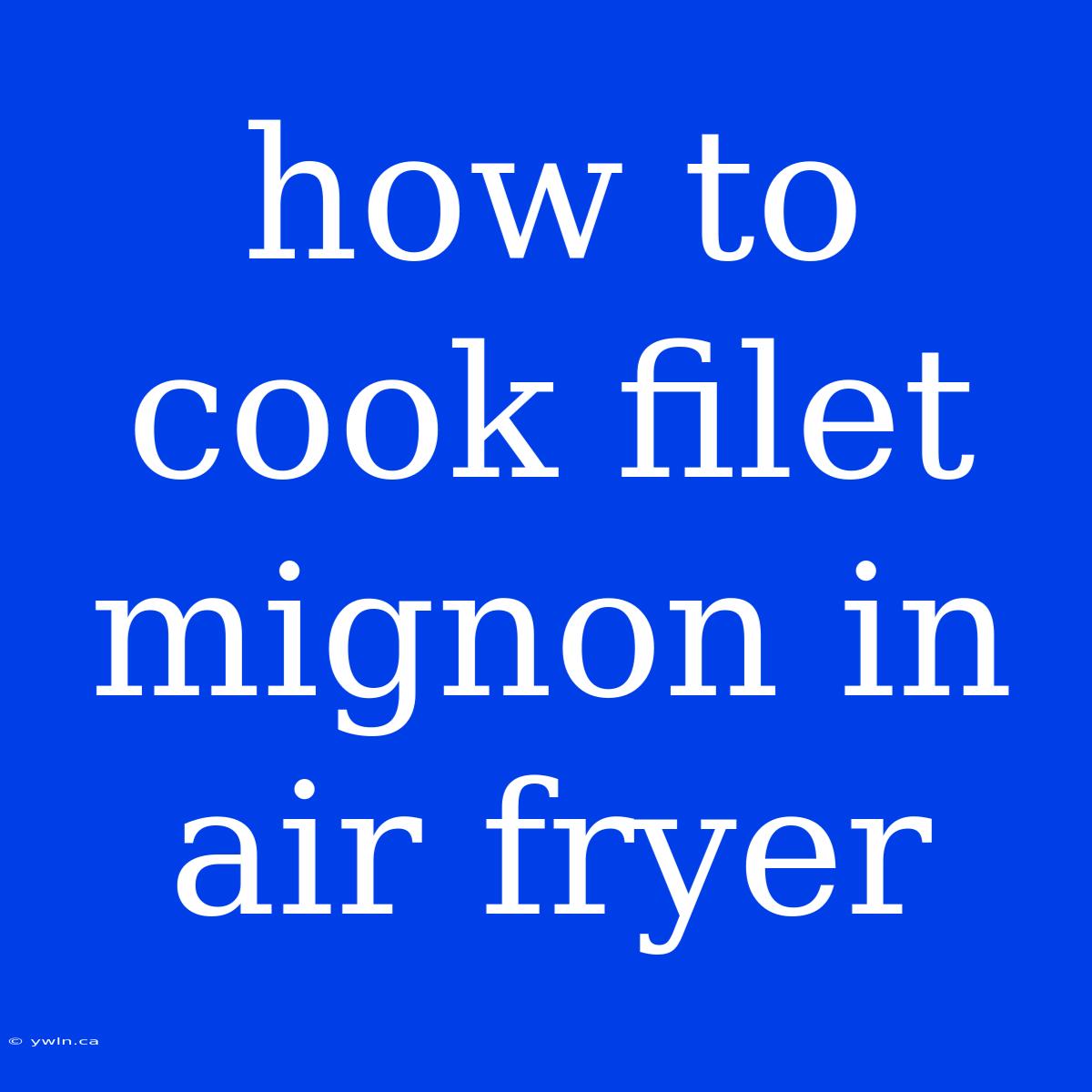 How To Cook Filet Mignon In Air Fryer