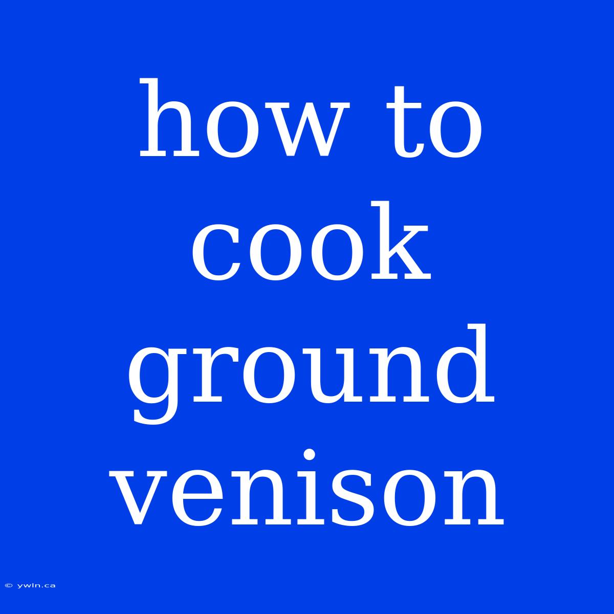 How To Cook Ground Venison