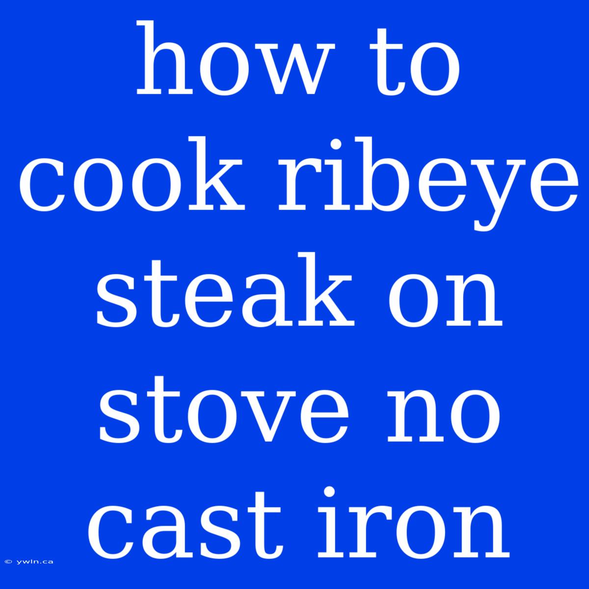 How To Cook Ribeye Steak On Stove No Cast Iron