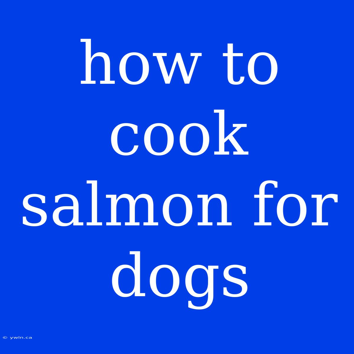 How To Cook Salmon For Dogs