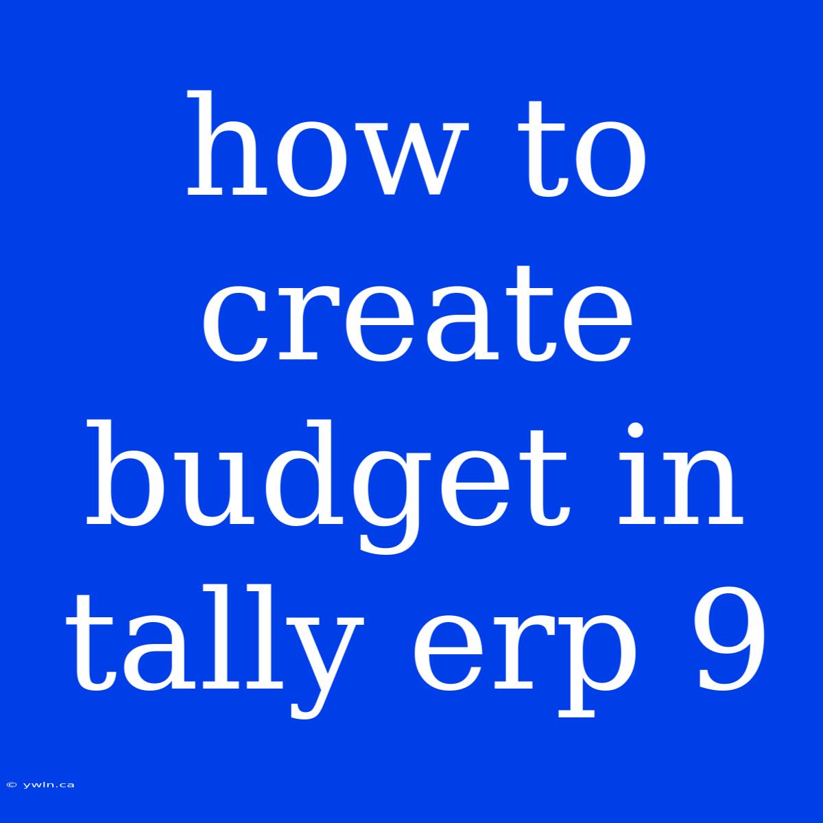 How To Create Budget In Tally Erp 9