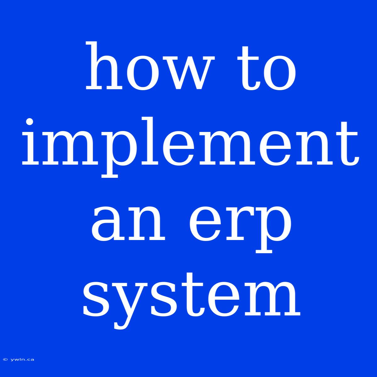 How To Implement An Erp System