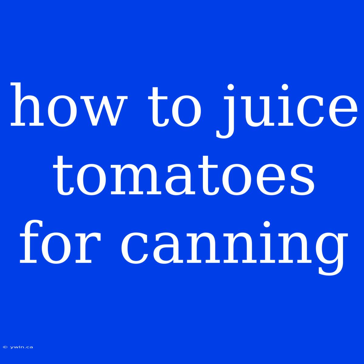 How To Juice Tomatoes For Canning