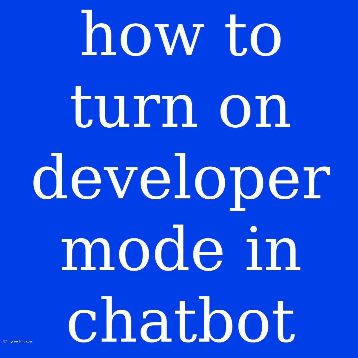 How To Turn On Developer Mode In Chatbot