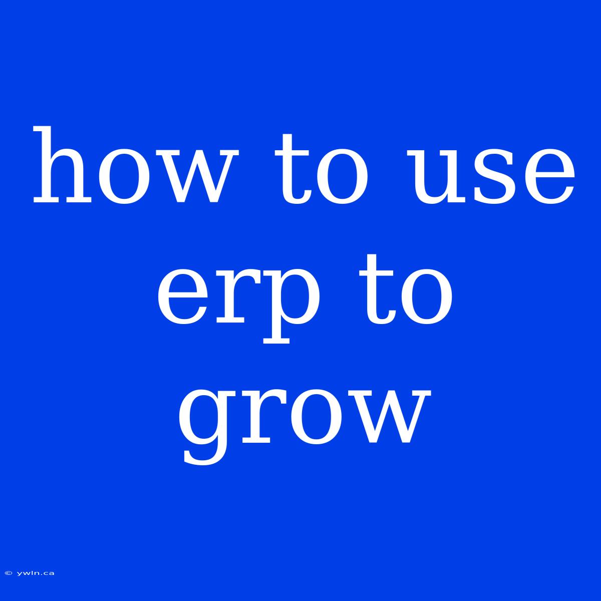 How To Use Erp To Grow