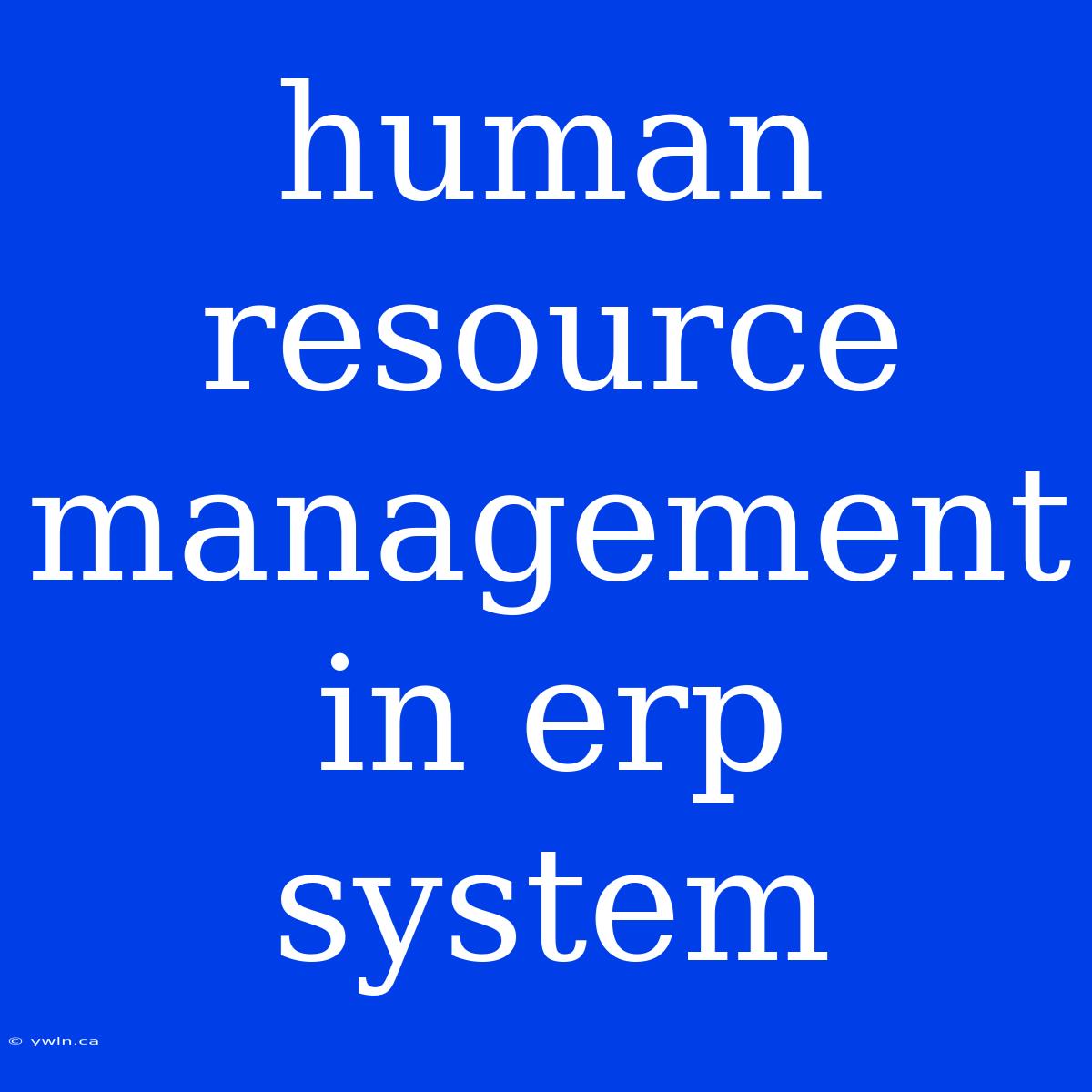 Human Resource Management In Erp System