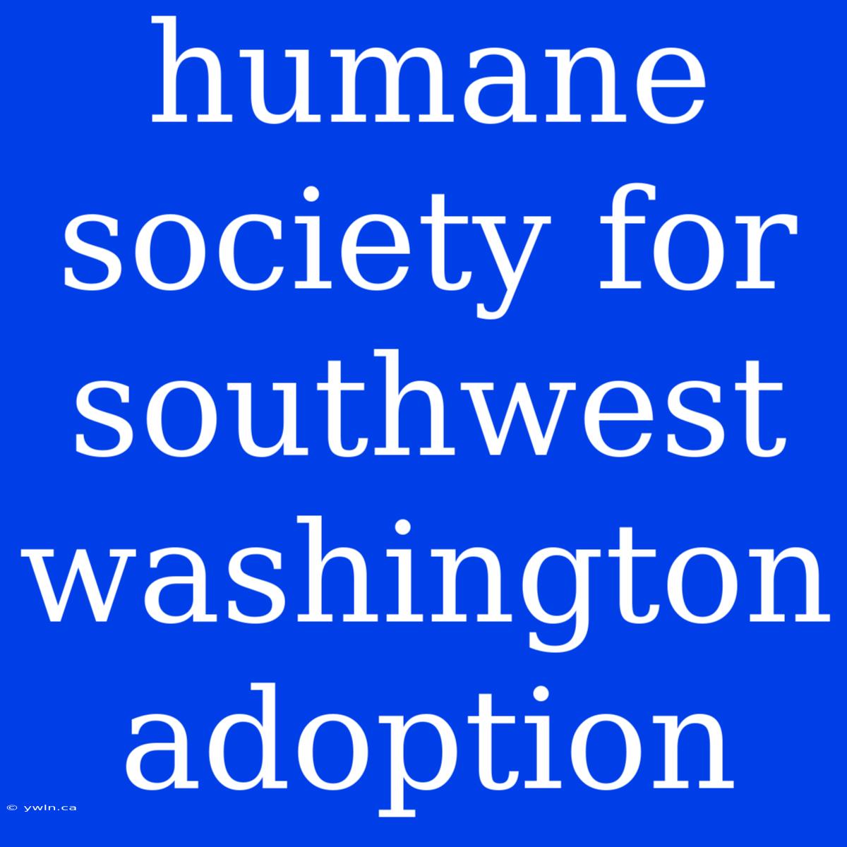 Humane Society For Southwest Washington Adoption