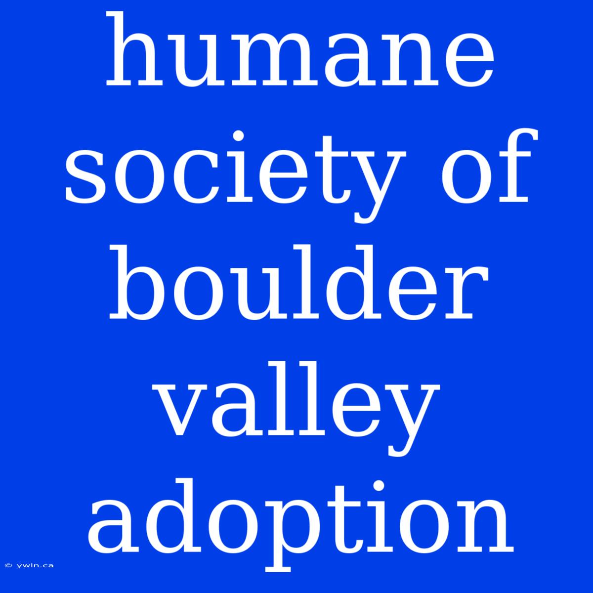 Humane Society Of Boulder Valley Adoption