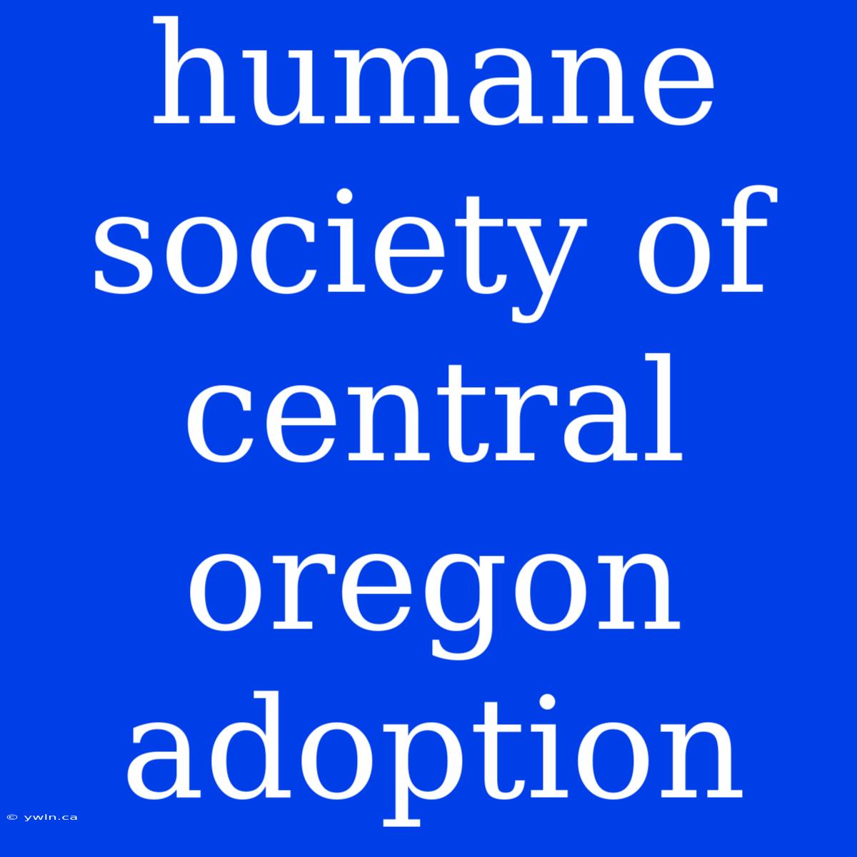 Humane Society Of Central Oregon Adoption