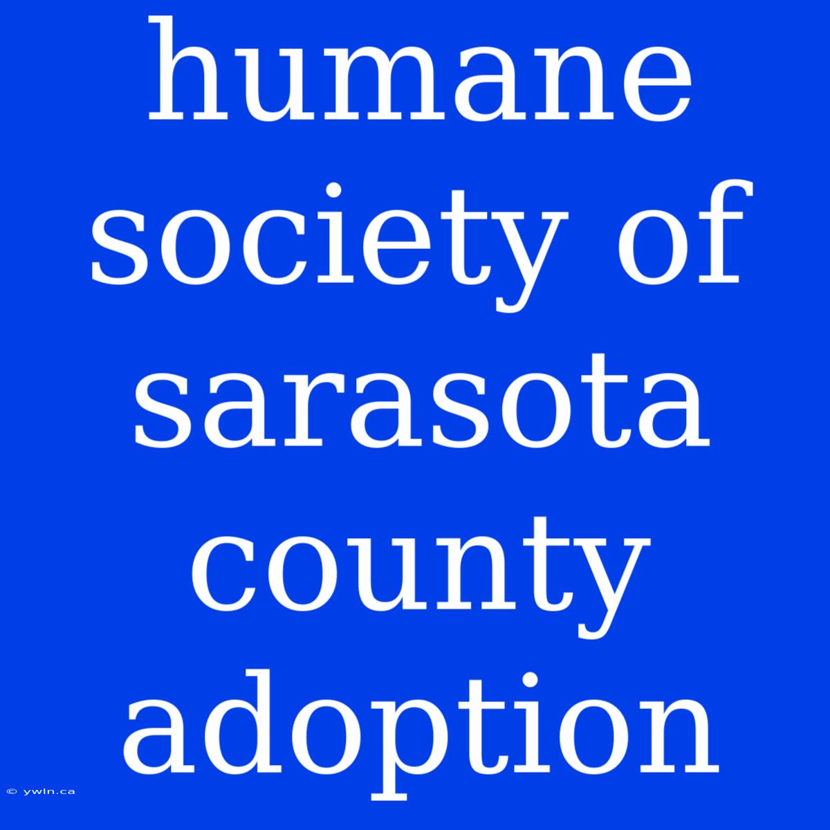 Humane Society Of Sarasota County Adoption