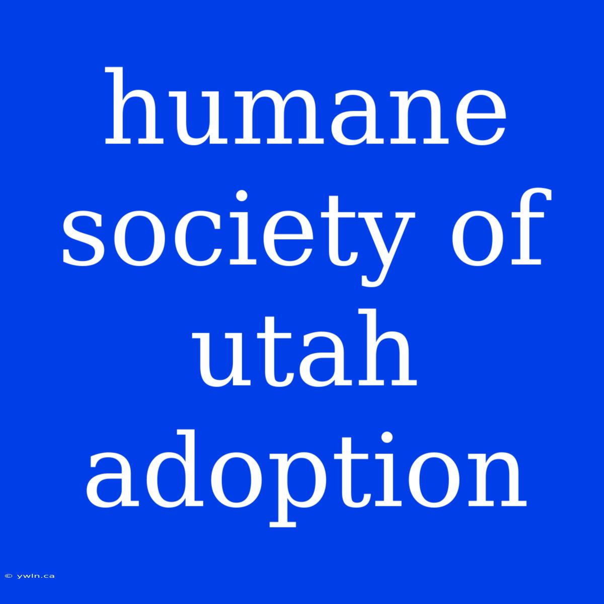 Humane Society Of Utah Adoption