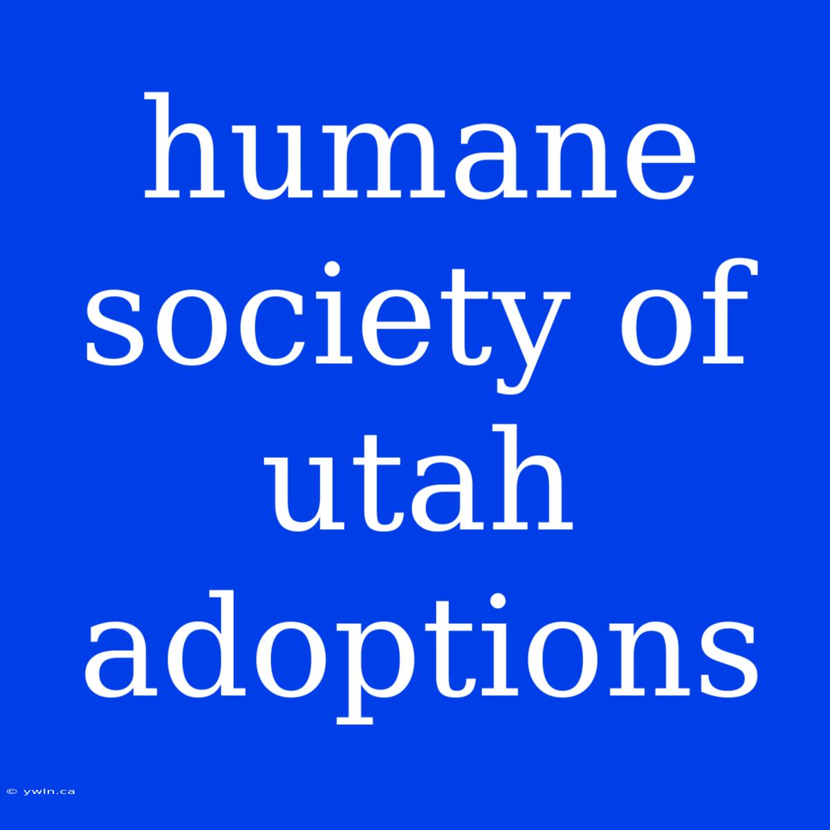 Humane Society Of Utah Adoptions